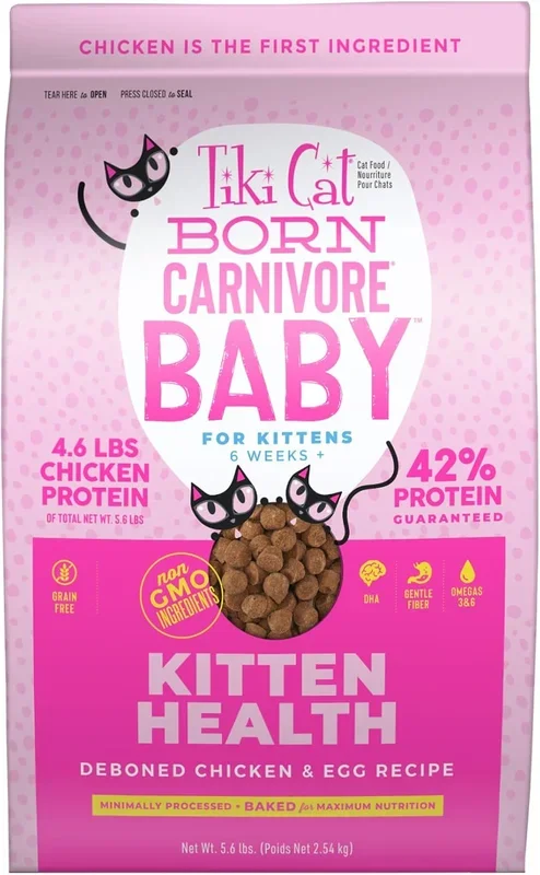 Tiki Cat Born Carnivore Baby Grain-Free High-Protein Chicken and Egg Kitten Dry Cat Food – 5.6 Lbs