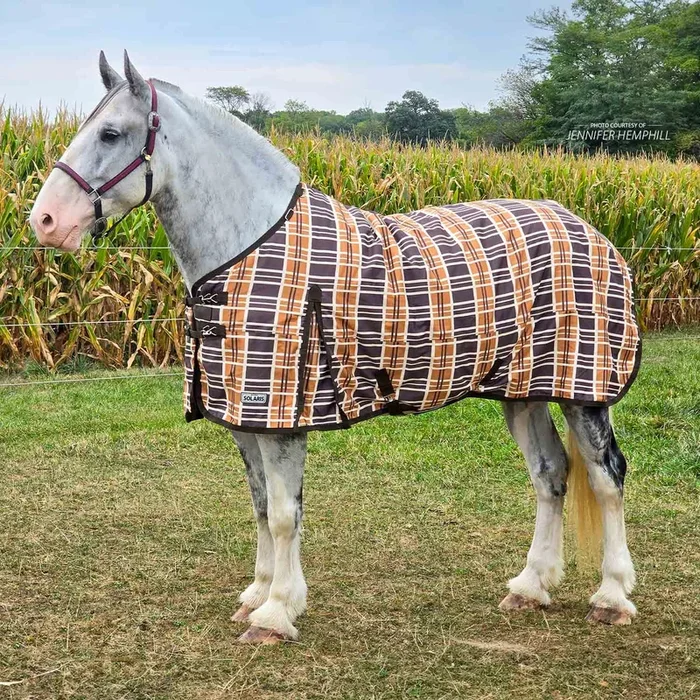 ¡Ya disponible! Manta para caballos de tiro Jeffers Solaris 1200D, 240 g